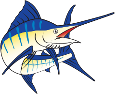 shark_img